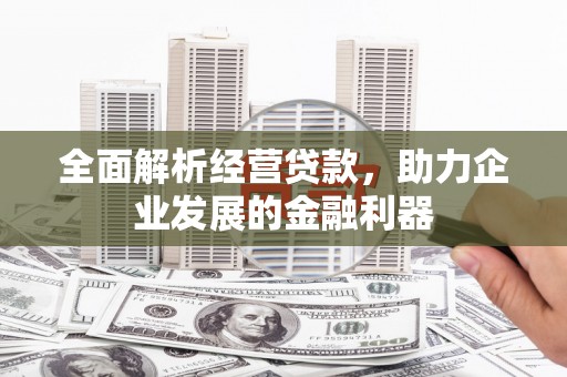 绥化全面解析经营贷款，助力企业发展的金融利器