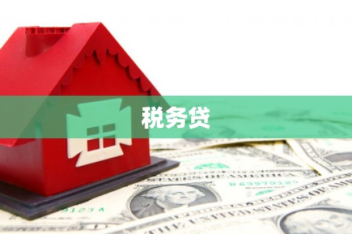 绥化税务贷