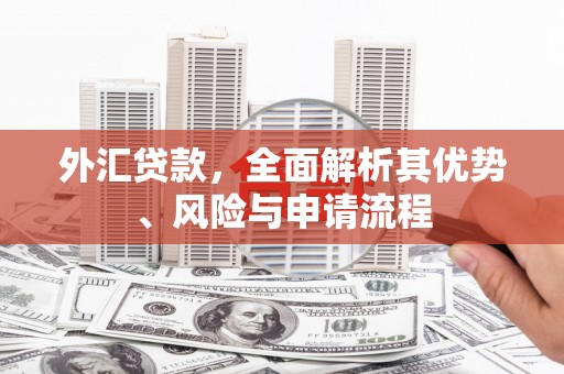 绥化外汇贷款，全面解析其优势、风险与申请流程