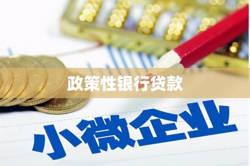 绥化政策性银行贷款