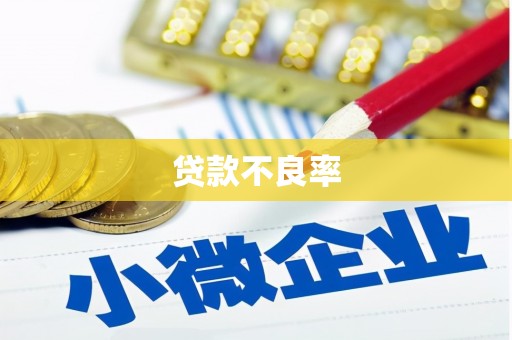 绥化贷款不良率