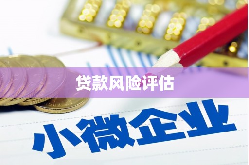 绥化贷款风险评估