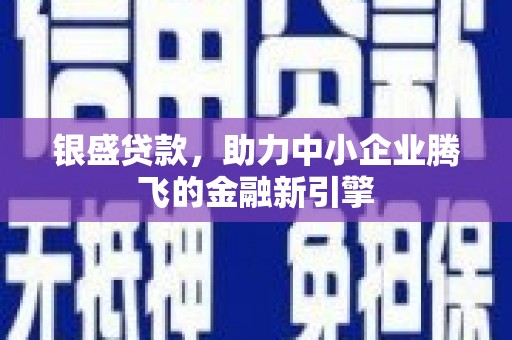 绥化银盛贷款，助力中小企业腾飞的金融新引擎