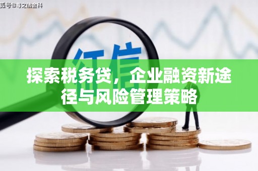 绥化探索税务贷，企业融资新途径与风险管理策略