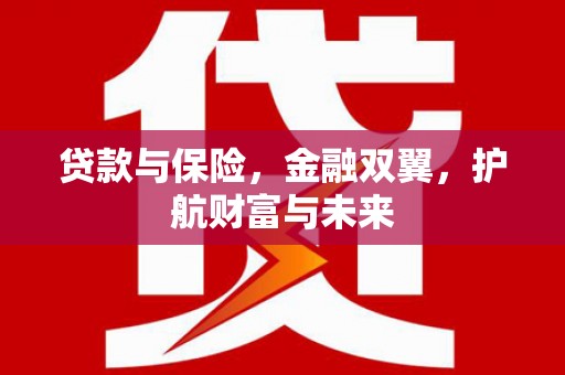 绥化贷款与保险，金融双翼，护航财富与未来