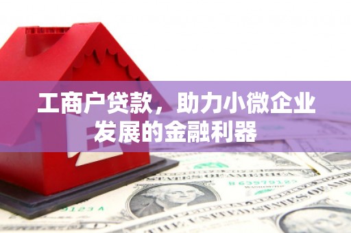 绥化工商户贷款，助力小微企业发展的金融利器