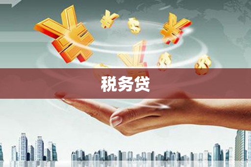 绥化税务贷