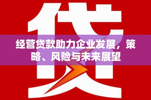 绥化经营贷款助力企业发展，策略、风险与未来展望