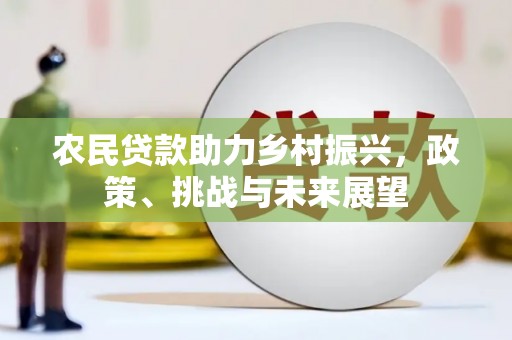 绥化农民贷款助力乡村振兴，政策、挑战与未来展望