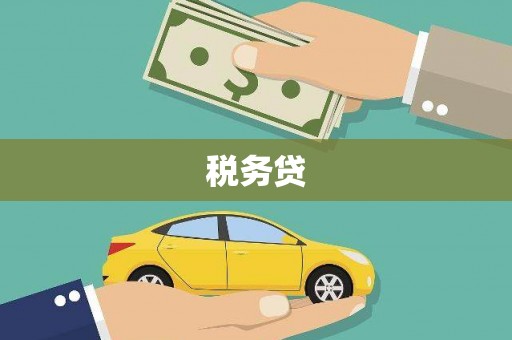 绥化税务贷