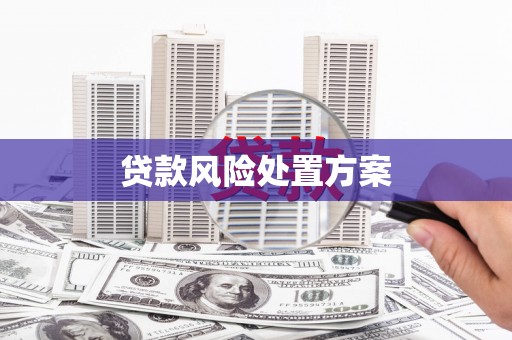绥化贷款风险处置方案