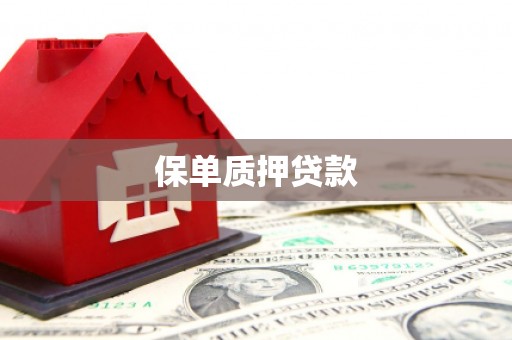 绥化保单质押贷款