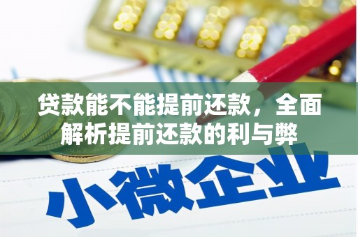 绥化贷款能不能提前还款，全面解析提前还款的利与弊