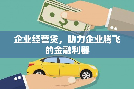 绥化企业经营贷，助力企业腾飞的金融利器