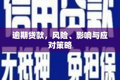 绥化逾期贷款，风险、影响与应对策略