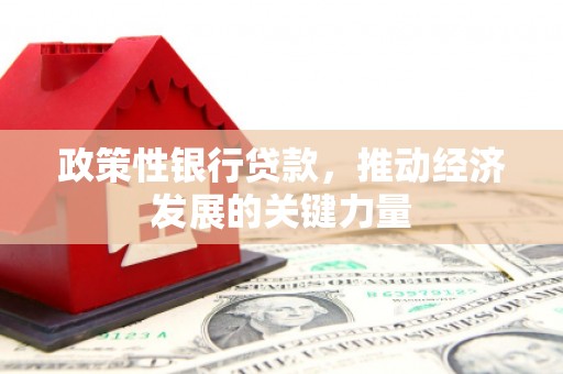 绥化政策性银行贷款，推动经济发展的关键力量