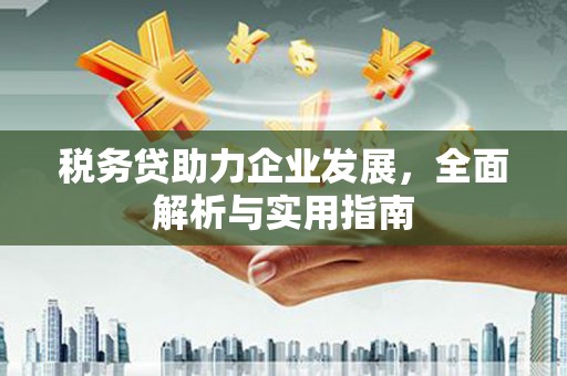 绥化税务贷助力企业发展，全面解析与实用指南