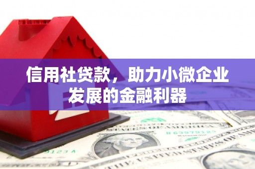 绥化信用社贷款，助力小微企业发展的金融利器
