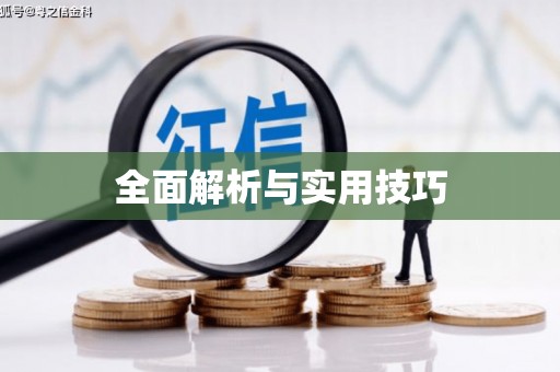 绥化全面解析与实用技巧