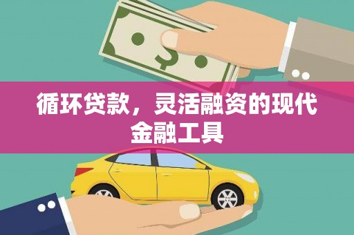 绥化循环贷款，灵活融资的现代金融工具