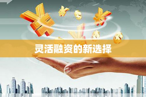 绥化灵活融资的新选择